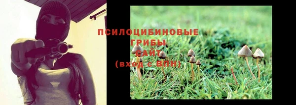 стафф Кинешма