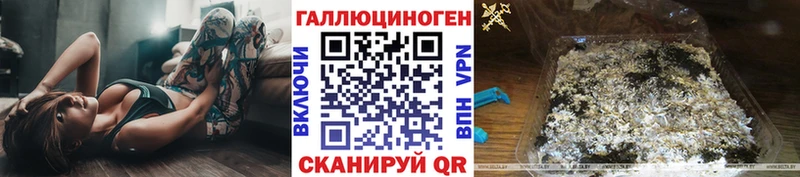 Псилоцибиновые грибы GOLDEN TEACHER  Купить закладки  Нерюнгри 